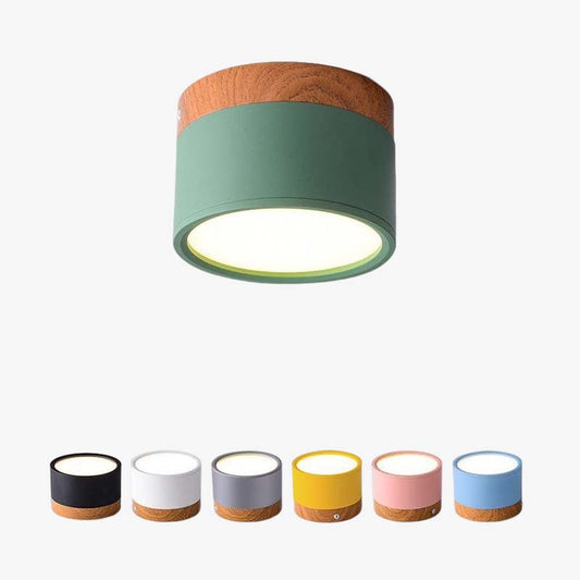 Elegante Morandi LED Plafondlamp voor Modern Interieur