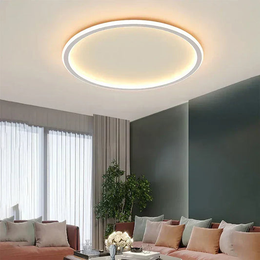 Elegante Scandinavische Ronde Plafondlamp voor Verlichting
