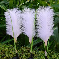 Elegante Tuinverlichting met Natuurlijke Stijl