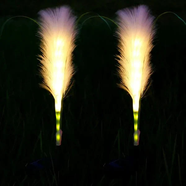 Elegante Tuinverlichting met Natuurlijke Stijl
